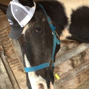 Meet your Posher, Madison